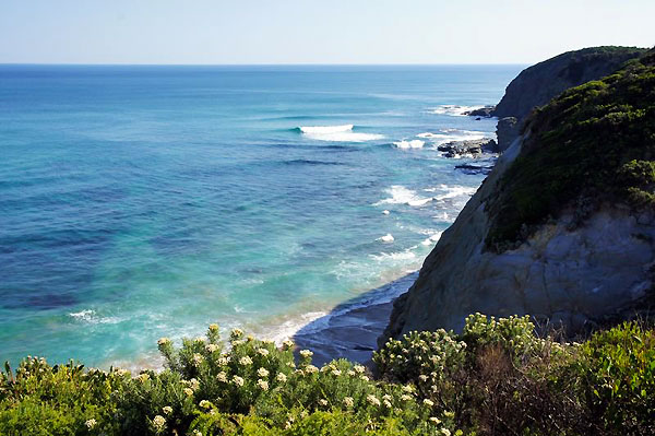 There are lookouts like this along the Great Ocean Road, so you can hop off your ride and take in the sights.
