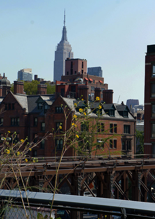 You get a good view of the city from the High Line