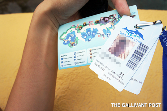 This pass serves as your "passport" around Discovery Cove. Don't lose it!