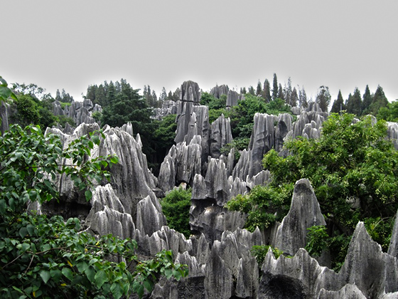 The Stone Forest covers over 400 square meters