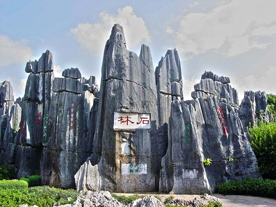 Behold the Stone Forest