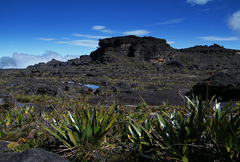 This is the Maverick Rock, and it makes the highest point of Mount Roraima.