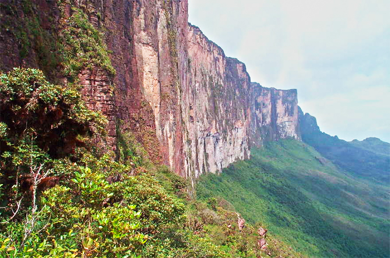 Check out the jagged cliffs of Mount Roraima.
