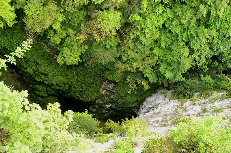 At the top of the Macocha Gorge, you can stare down at the narrow stream meandering below. 