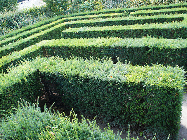 The Maze at Schonbrunn Palace