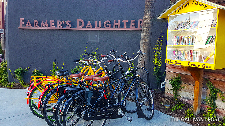 Farmer's-Daughter_bicycle-and-books-on-loan