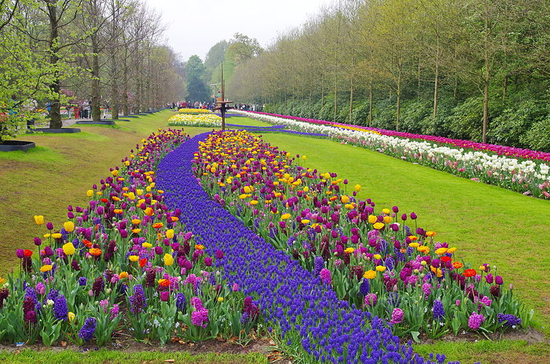 Keukenhof Garden