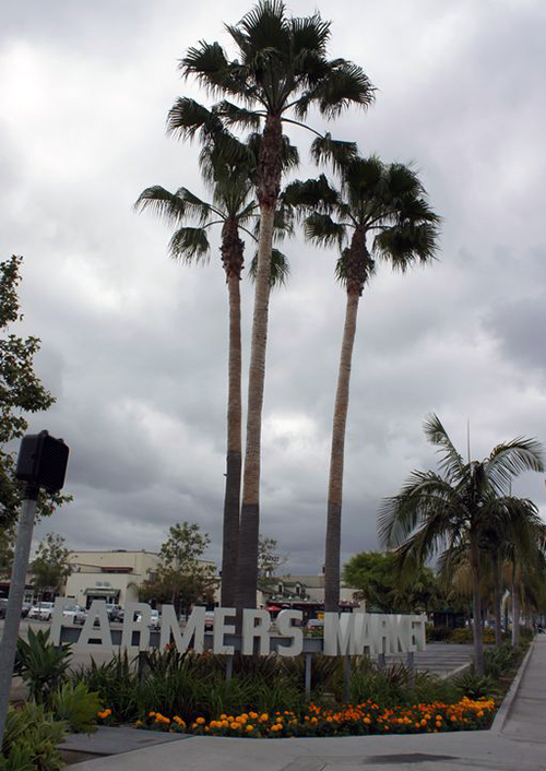 The Original Farmer's Market