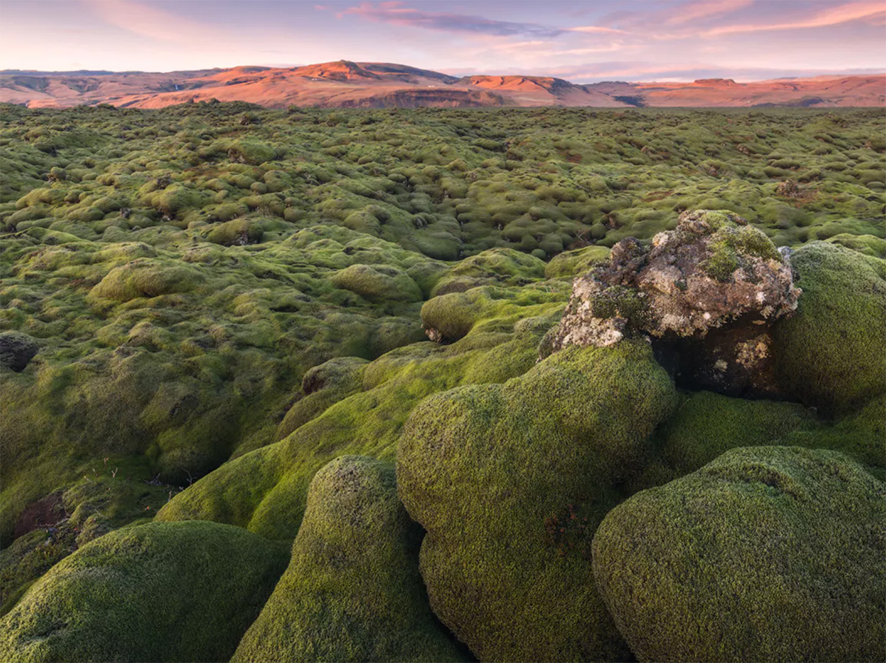 Eldhraun Lava Field