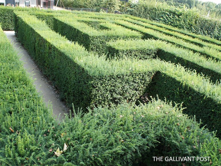 Snapshot: The Maze at Schonbrunn Palace in Vienna – The Gallivant Post