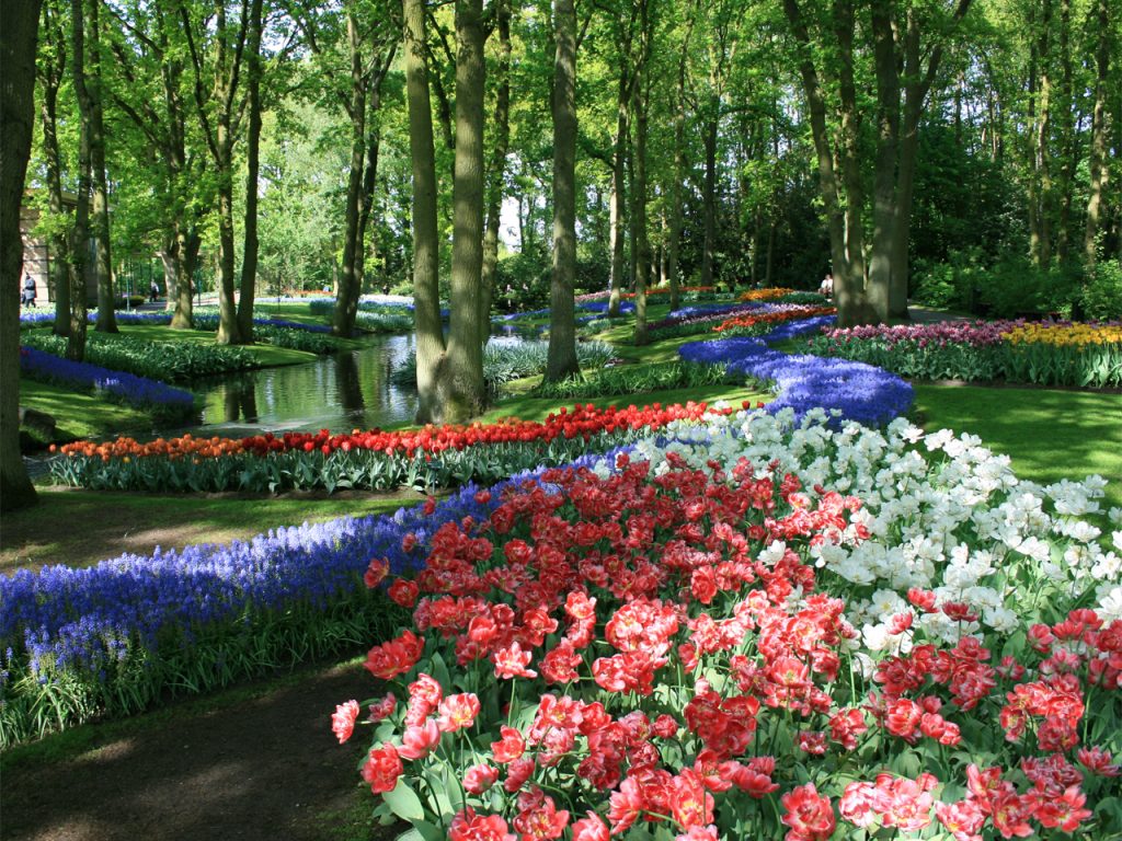 Springtime in the Keukenhof Garden | The Gallivant Post